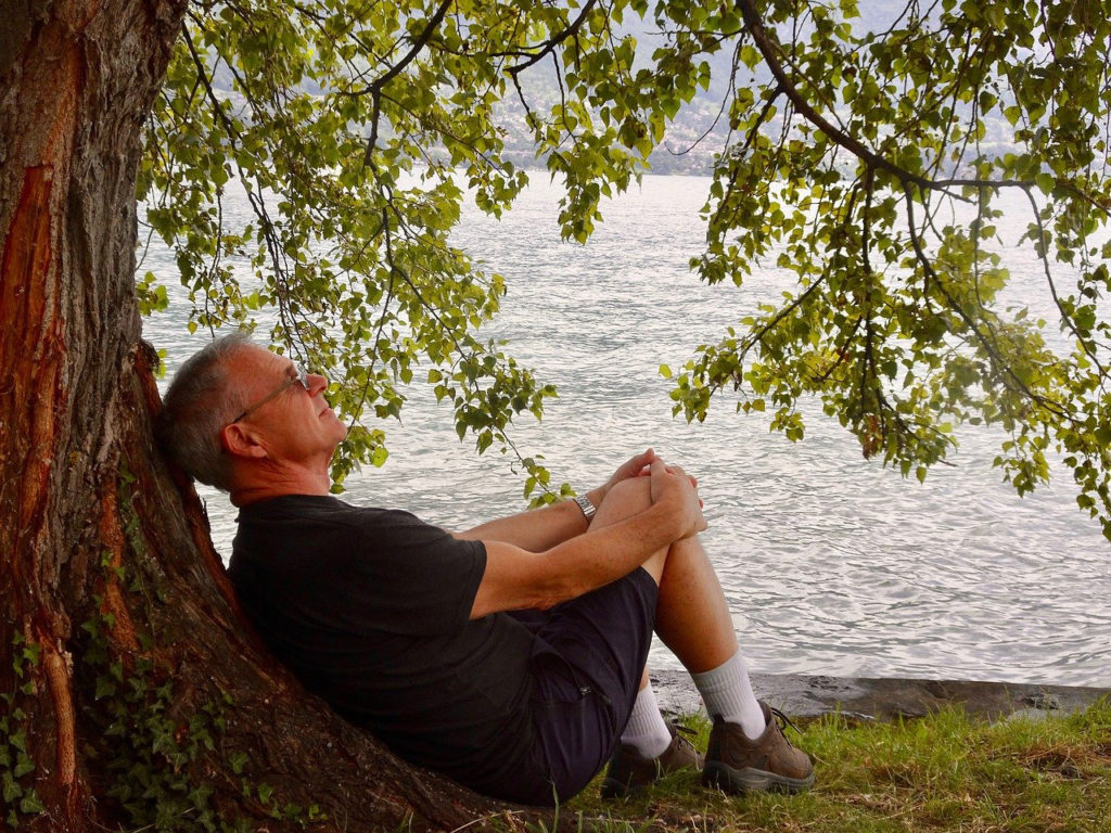 A man sitting under a tree near a body of water.
